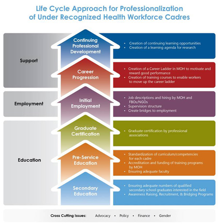 Life cycle model